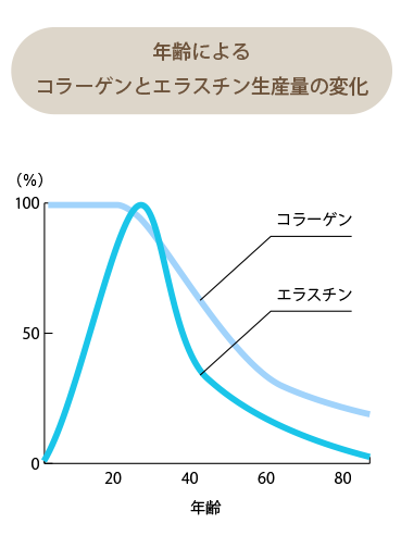 図解：年齢によるコラーゲンとエラスチン生産量の変化