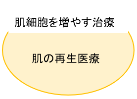 肌細胞を増やす治療　肌の再生医療