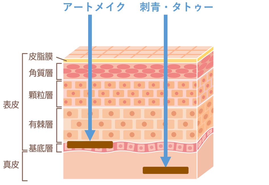 図解:アートメイク、刺青・タトゥーの違い