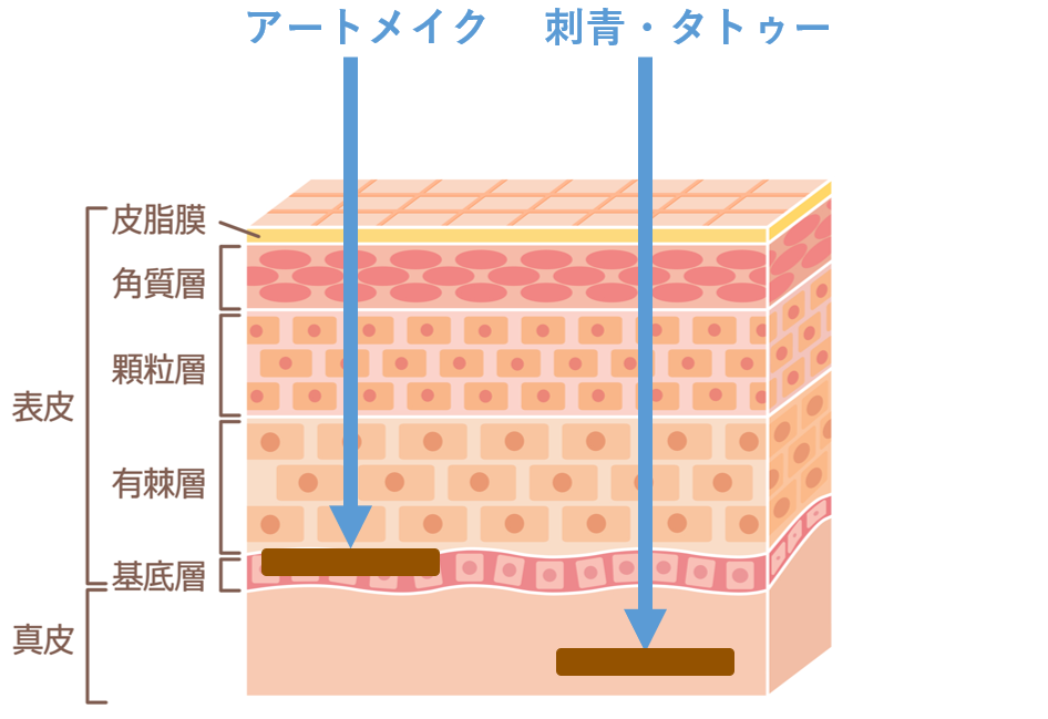 図解：アートメイク、刺青・タトゥーの違い