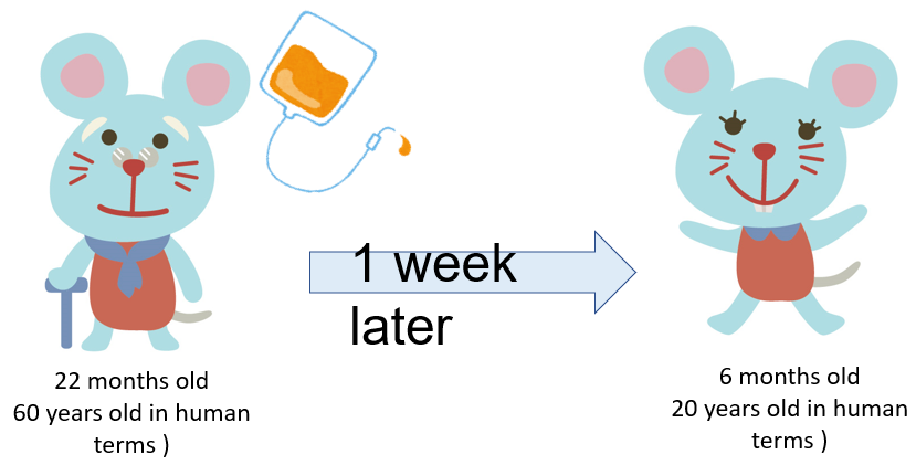 22 months old 60 years old in human terms ). 1 week later. 6 months old 20 years old in human terms )