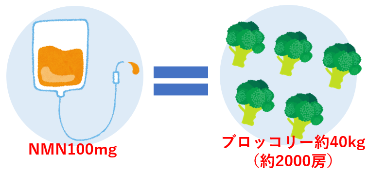 図解：NMN100mg＝ブロッコリー約40kg（約2000房）